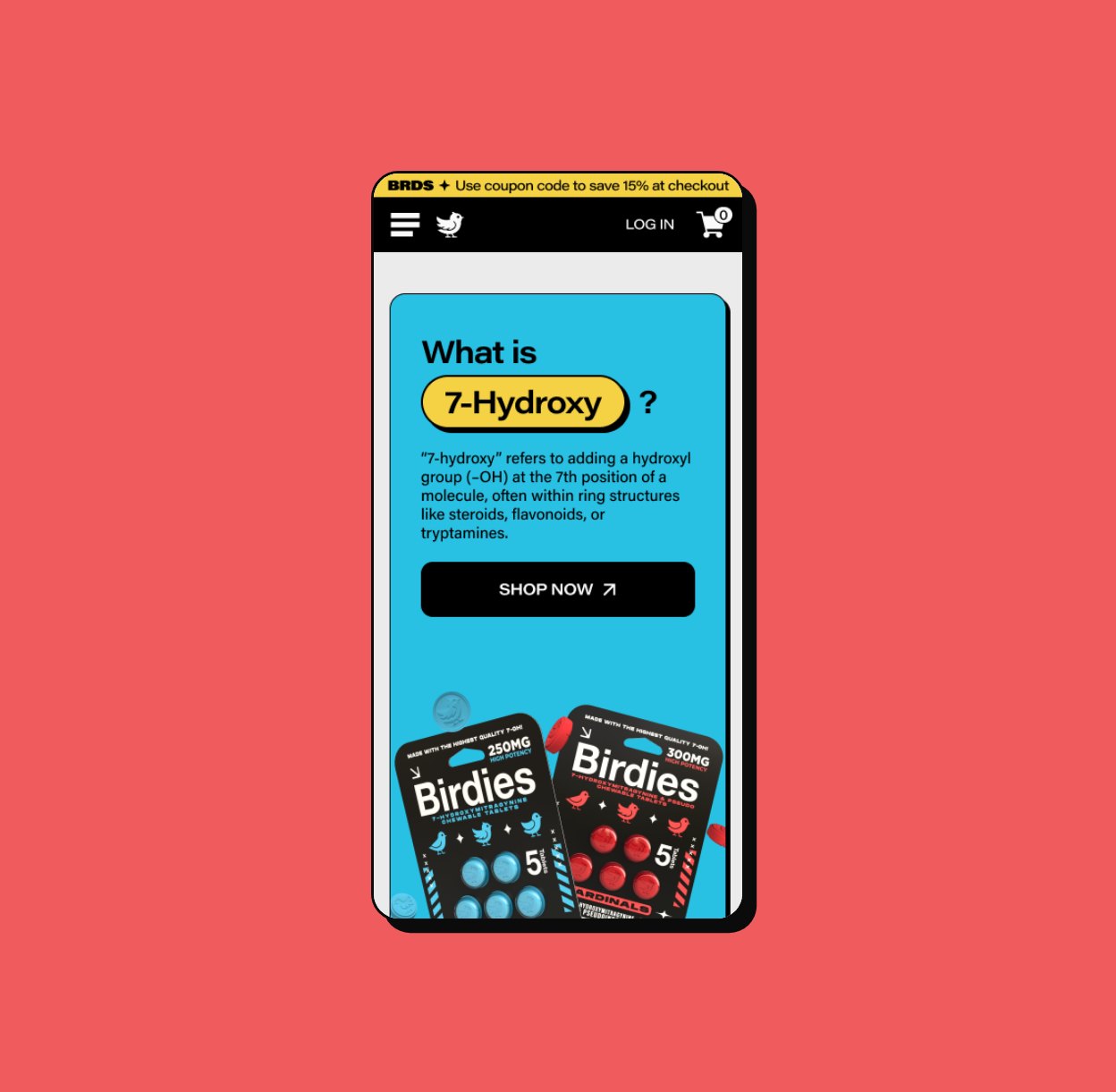 The explainer on a phone