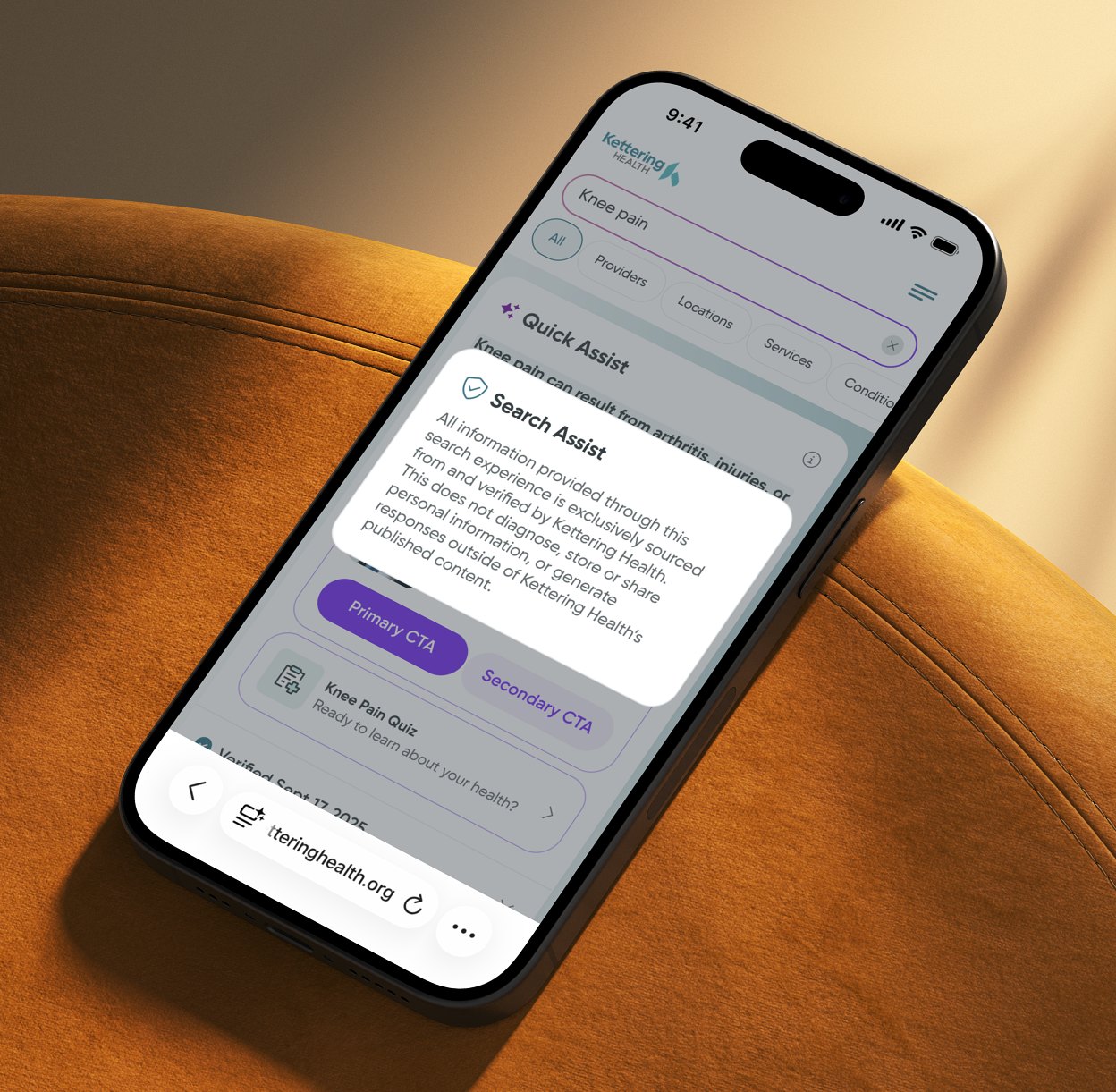 Search Assist explanation on a phone
